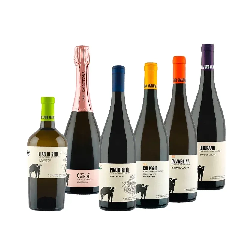 Degustazione Cantina San Salvatore Cantina San Salvatore 1988 - Set 6 Bottiglie Novità