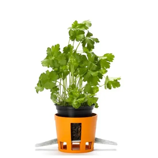 Prezzo Ridotto Fiskars Herb Contenitore Per Erbe Aromatiche Rotondo In Polistirene - Set 2 Pz