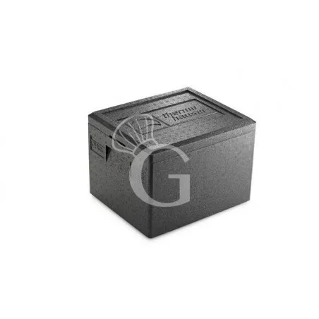 Contenitore Isotermico in polipropilene 19 LT per bacinelle GN1/2 L 390 mm x P 330 mm x H 280 mm Nuovo Arrivo