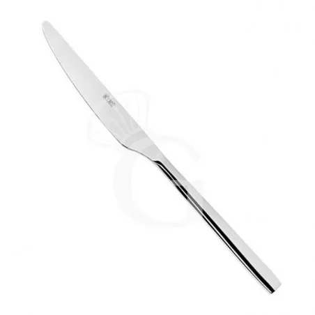 Coltello frutta monoblocco in acciaio inox L 209 mm Promozione