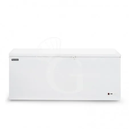 Ordina Subito Congelatore a pozzetto Statico 568 LT -18°C classe energetica F