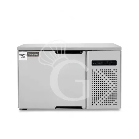 Abbattitore in acciaio inox monofase -18°/+3°C - 3 teglie o griglie GN 2/3 Ultime Pezzi