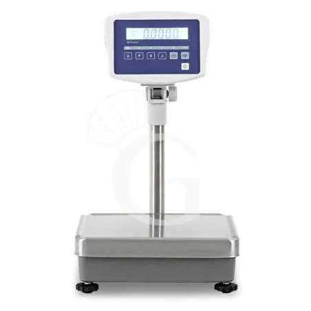Bilancia monocella completa portata 60 Kg precisione 5 g L 360 mm x P 320 mm x H 600 mm Promozione