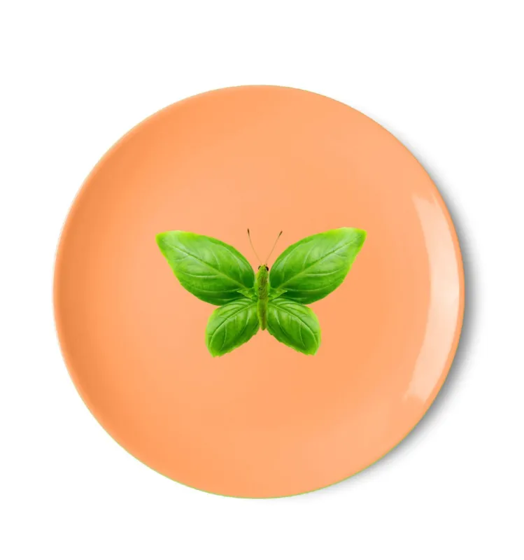 MYKONOS PIATTO PIZZA 30,5 CM FARFALLA Offerta Lampo