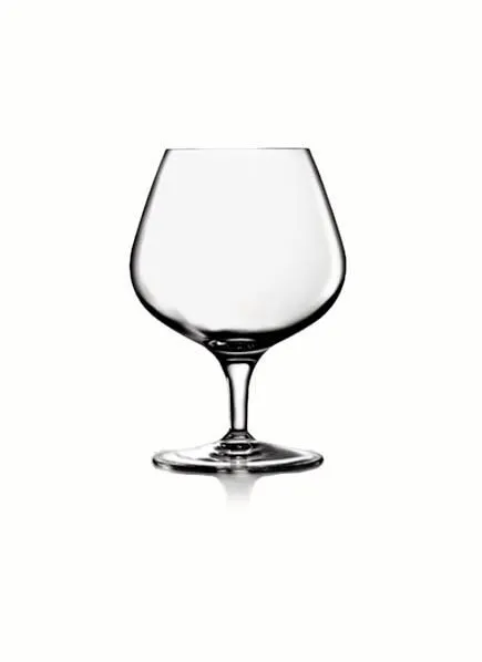 NAPOLEON CALICE BRANDY 39 CL 6 PZ Di Tendenza