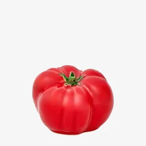 Bitossi L’Orto Porta Sale Pomodoro A Buon Prezzo