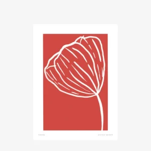 Kapolab Little Queen, stampa su carta opaca 210 gr. Offerta Limitata