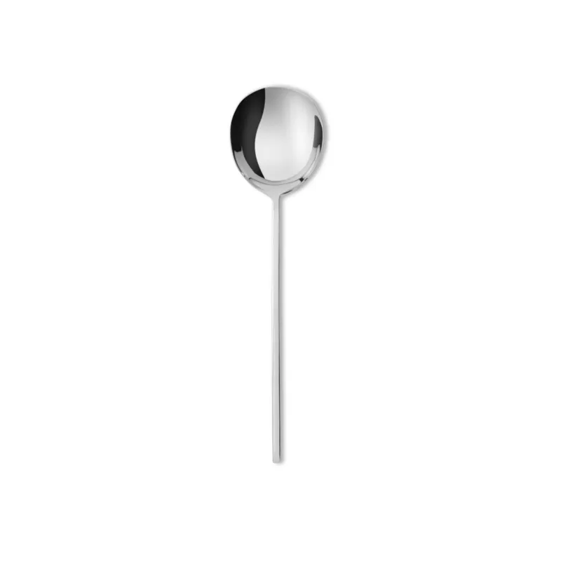 Promozione 100 Cucchiaio brodo/gourmet