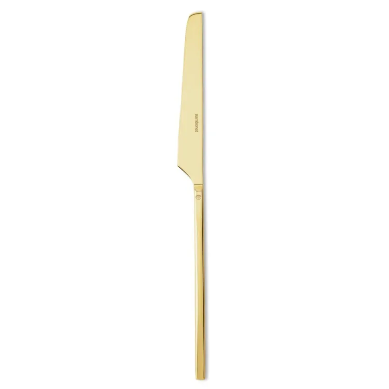 100 Coltello tavola Occasione