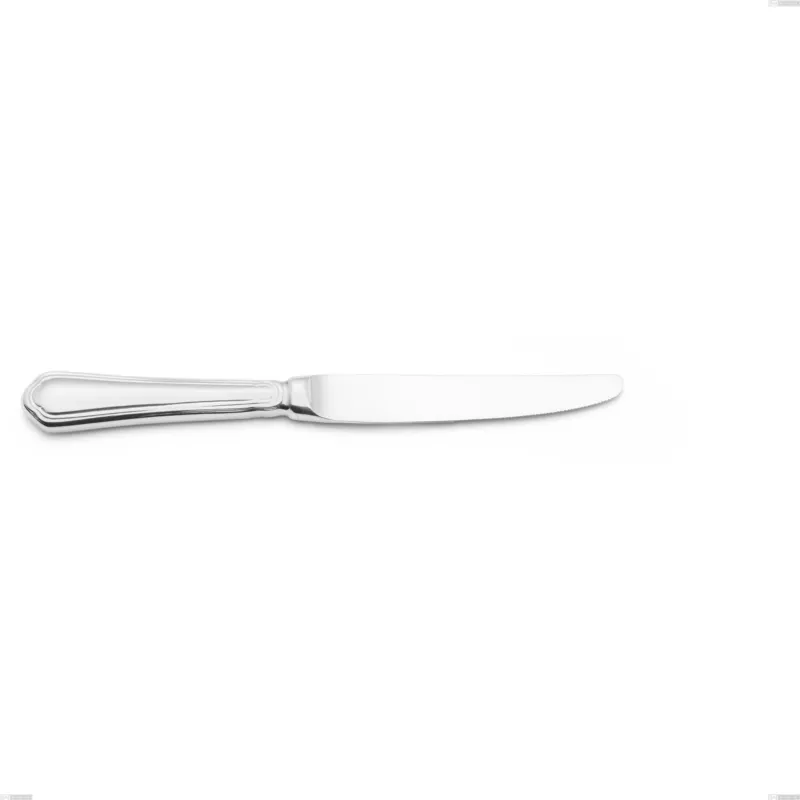 Ultime Pezzi Coltello frutta Manico vuoto Domus, inox 18.10 (AISI304), spessore 3.0 mm - lunghezza 215 mm Eme Posaterie