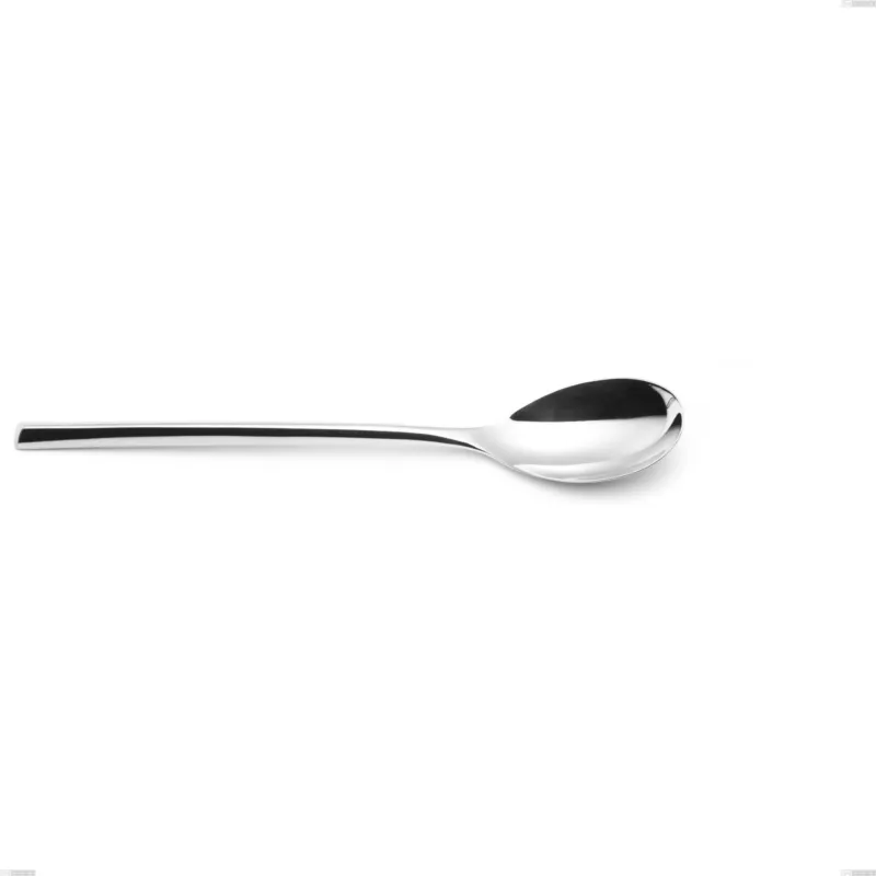 Cucchiaio tavola Vanity, Acciaio inox 18/10 (AISI304), forgiate, spessore 8 mm Lunghezza 220 mm Eme Posaterie Saldi