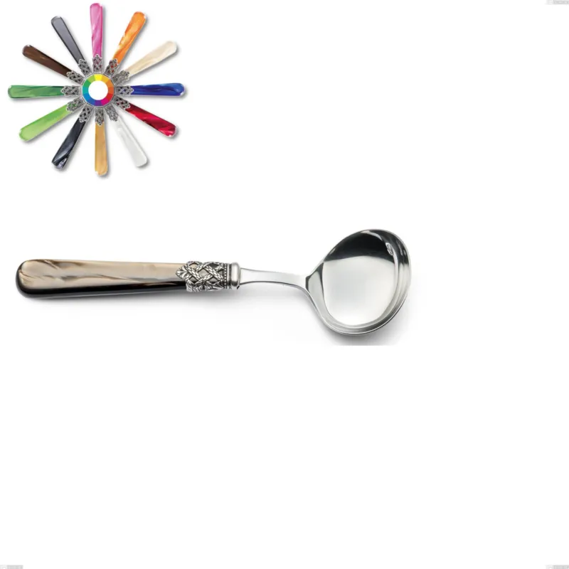 Economico Cucchiaio salsa Ginevra, (acciaio 18.10 aisi304), manico in nylon, Lunghezza 194 mm Eme Posaterie marrone perlato 1124