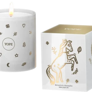 Offerta Del Giorno Scented Candle Winter Morning
