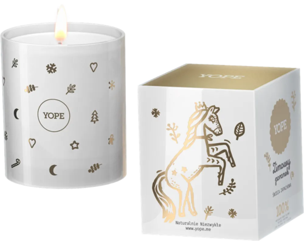 Offerta Del Giorno Scented Candle Winter Morning