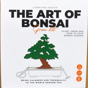 Reso Gratuito Arte del Bonsai - Set di Coltivazione