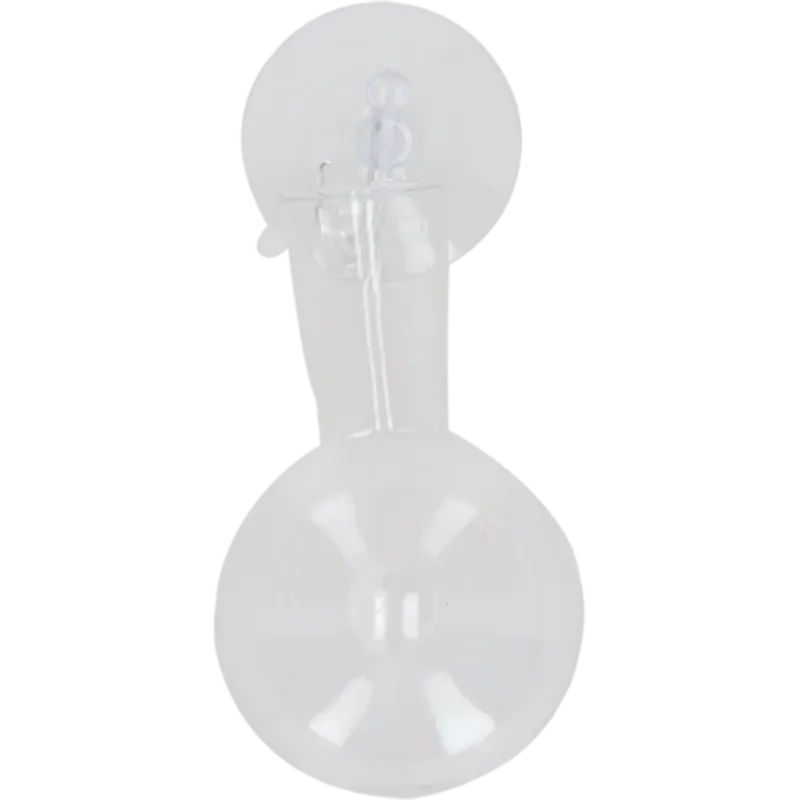 Vaso per Talee con Ventosa,L Offerta Lampo