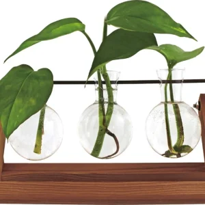 Offerta Limitata Vaso - Hydro Blossom