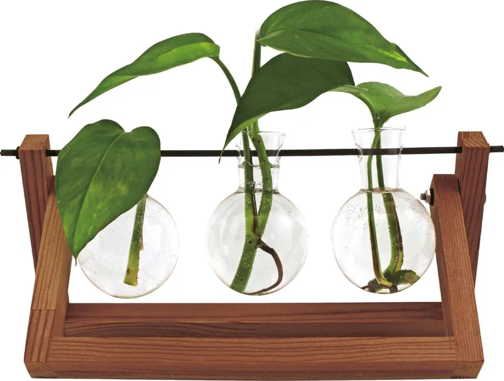 Offerta Limitata Vaso - Hydro Blossom