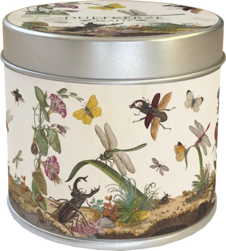 Offerta Candela Profumata - Sottobosco