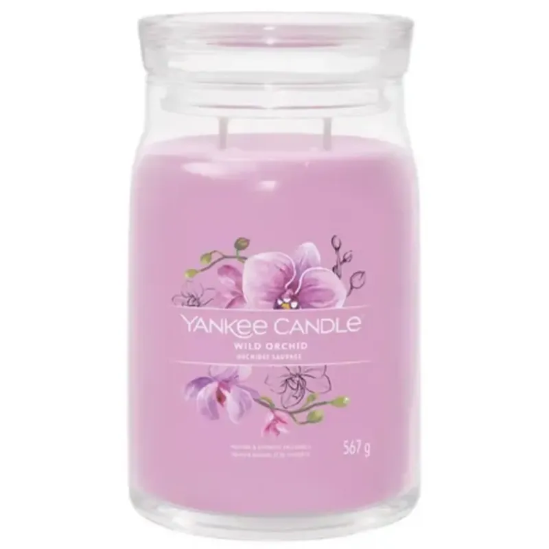 Economico Candela Profumata Signature Jar Wild Orchid,Large