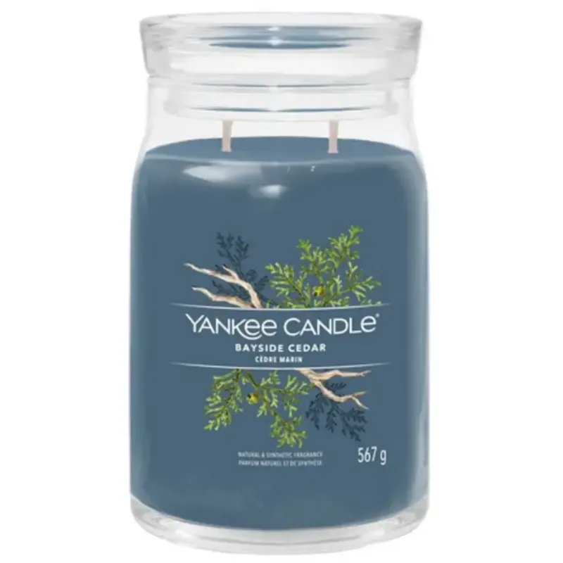 Candela Profumata Signature Jar Bayside Cedar,Large Solo Oggi