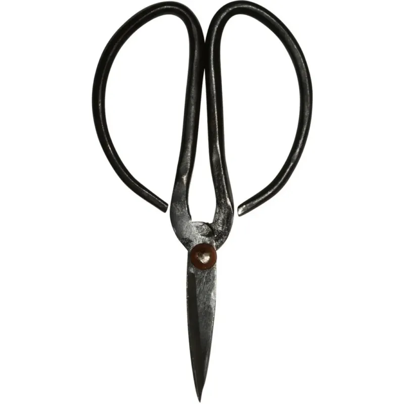 Offerta Forbici,Small