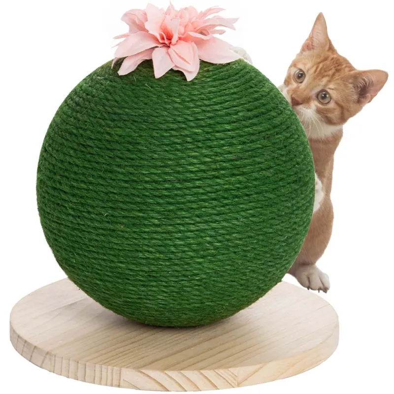 Tiragraffi Graffiatoio Forma Palla Sfera per Gatti Animali Felini Verde Fiore Promo Stagionale