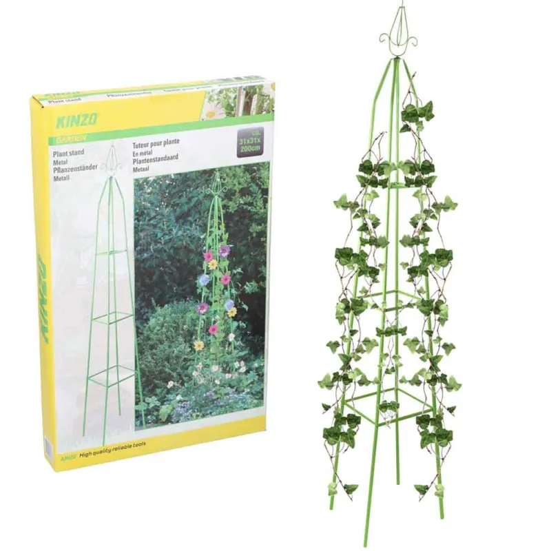 Supporto Piante Fiori Rampicanti Supporto Obelisco Piramide da Giardino 31x200cm Spedito Oggi