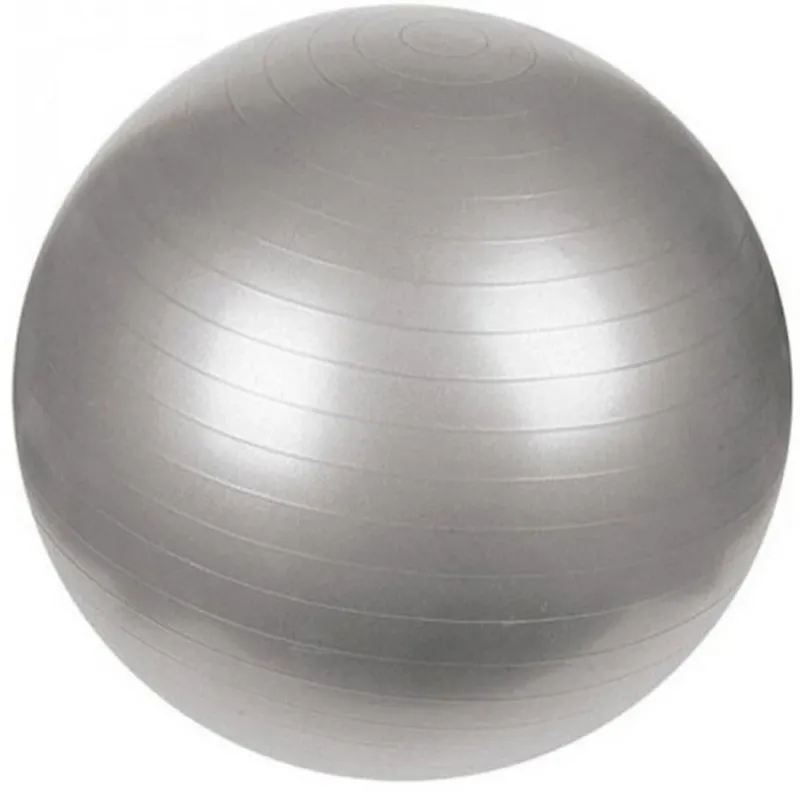 Fitness Gym Ball Palla Professionale da Allenamento Palestra in PVC Argento 45cm Bestseller