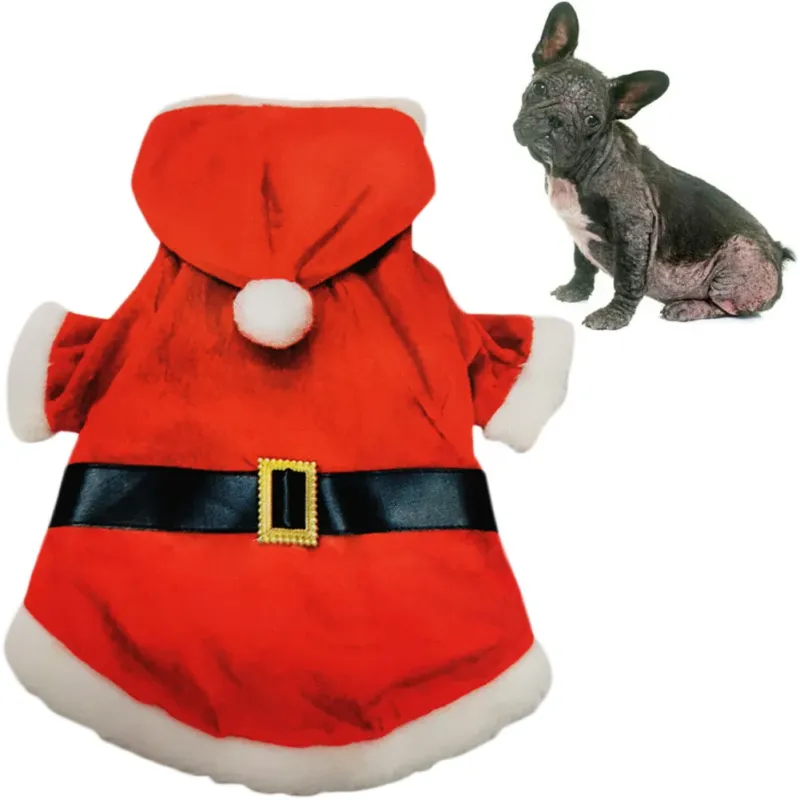 Offerta Speciale Vestitino per Animali Taglia Piccola Media Babbo Natale Cappuccio e Cintura
