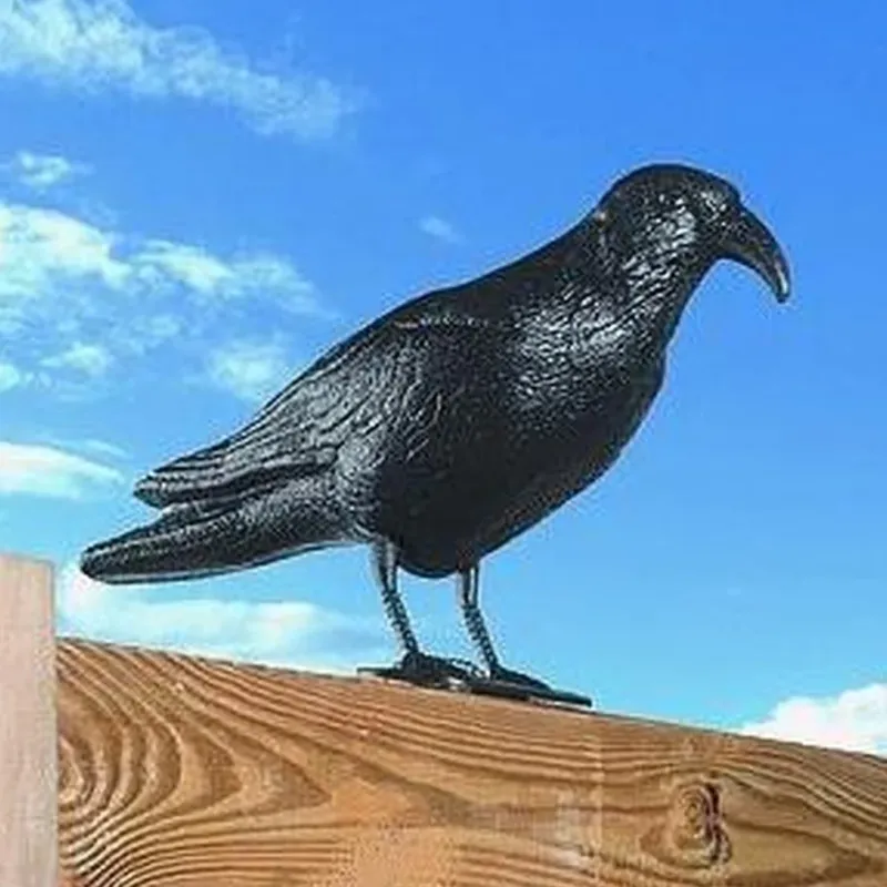 Spedizione Espresso Corvo Dissuasore Statua Spauracchio spaventa passeri piccioni colombi 24,5 cm