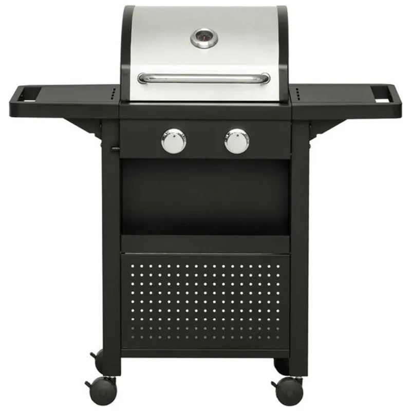 Barbecue a Gas Professionale 2 Fuochi Con Termometro e Manopole di Controllo Must-Have