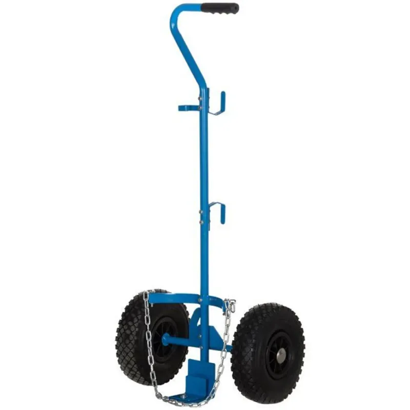 Carrellino Portabombole del Gas Carrello Porta Bombola 5-11 kg Blu in Acciaio Spedizione Espresso