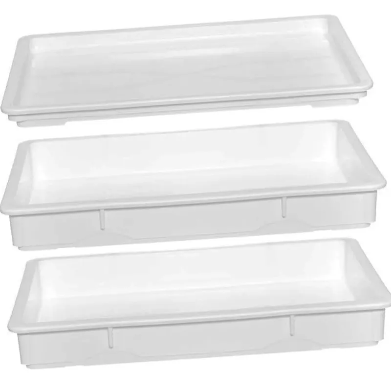 Set 2 Cassette Contenitori Per Impasto Con 1 Coperchio Vaschette Lievitazione Saldi