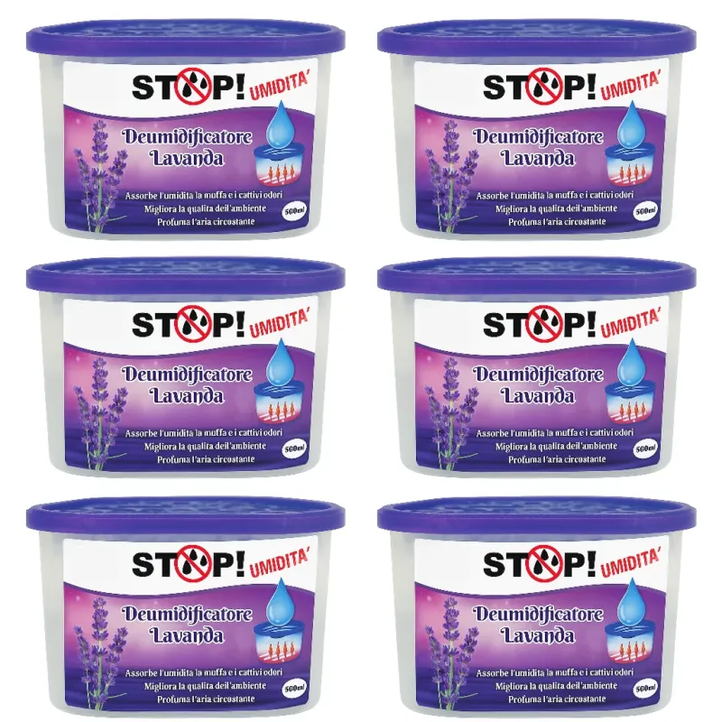 Non Perdere 6pezzi Deumidificatore Casa Portatile 500ml contro Muffa Assorbi Umidità Lavanda