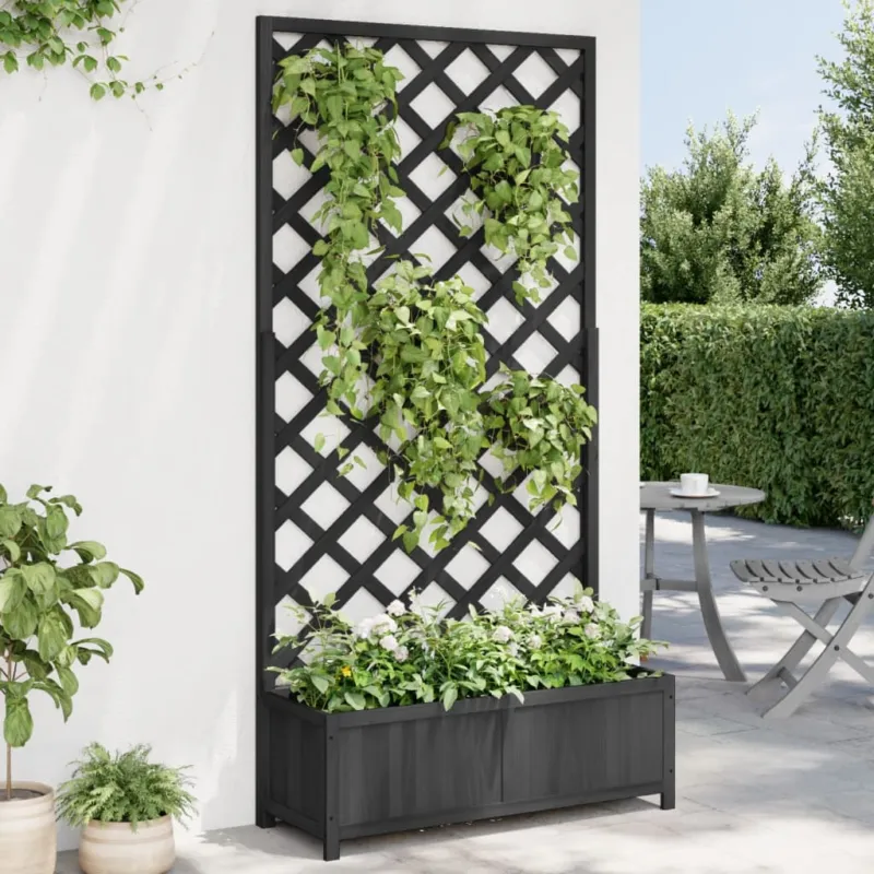 Fioriera con Traliccio Nera in Legno Massello di Abete 90 x 35 x 180 cm Offerta