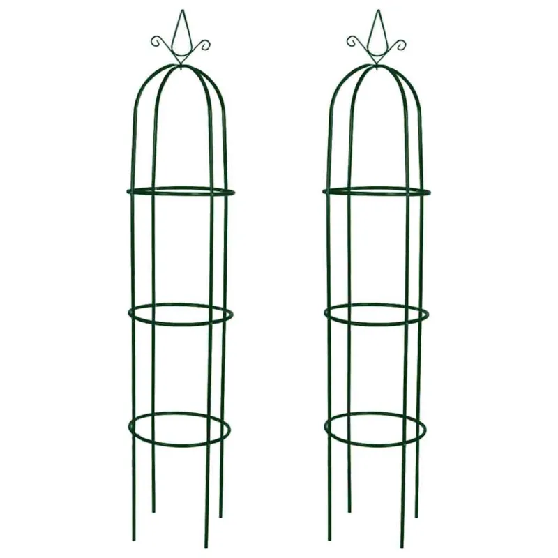 Scelto Dai Clienti Set Torri ad Arco 2 pezzi in Ferro per Piante Rampicanti da Giardino 38 x 190 cm