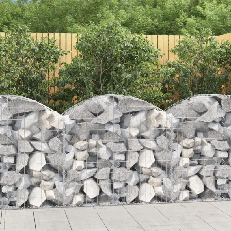Offerta Del Giorno Cesto Gabbione ad Arco 100x50x80/100 cm Ferro Zincato