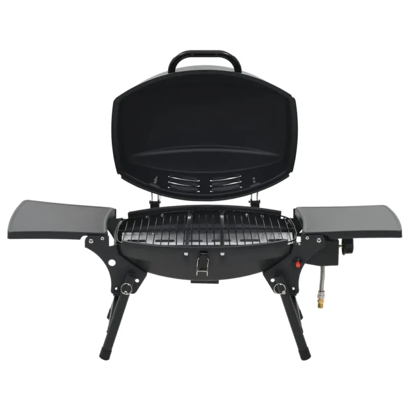 Barbecue e Griglia a Gas GPL Portatile Acciaio Inossidabile con Fornello Nero Promo Stagionale