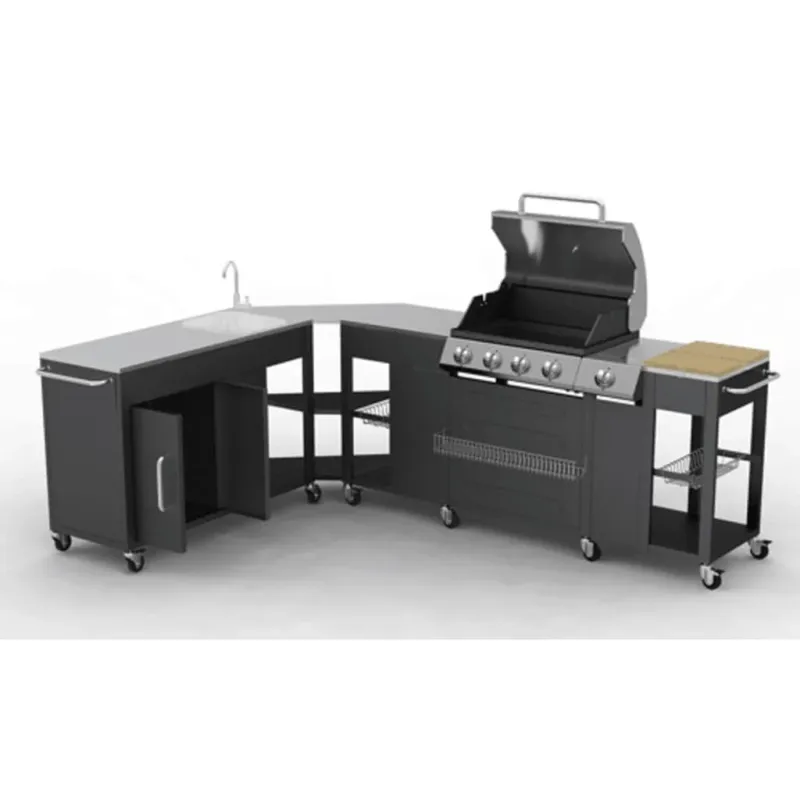 Novità Barbecue a Gas Cuucina Portabile con 4 bruciatori e 1 Fornello Scaldavivande