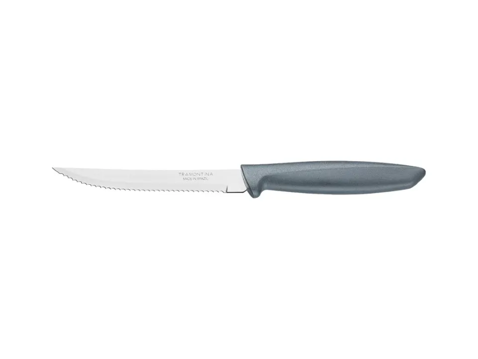 Direttamente Dal Produttore Plenus, coltello da bistecca con lama in acciaio inox e manico in polipropilene grigio