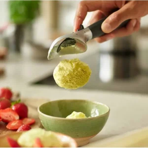 Prezzo Di Fabbrica Elevate, paletta per gelato grigia