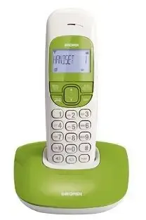 Prezzo Ridotto Brondi Nice Telefono DECT Identificatore di chiamata Verde, Bianco