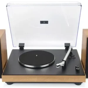 Prezzo Di Fabbrica New Majestic Giradischi Hifi TT54 con Impianto Audio