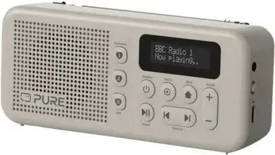 Affare Pure Elan Radio Move Personale Digitale Grigio
