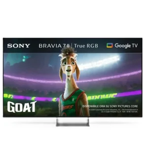 Consegna Rapida Sony 55 TV LCD BRAVIA 7 II XR75M2
