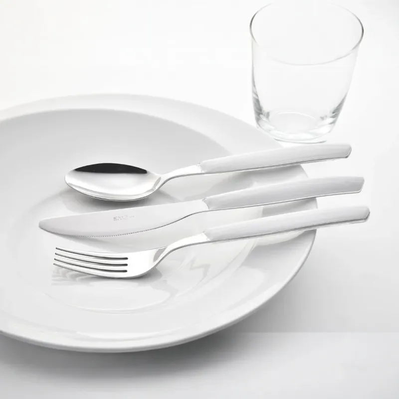 Set Posate 24 Pezzi CROMO in acciaio inox - Eme Occasione Imperdibile