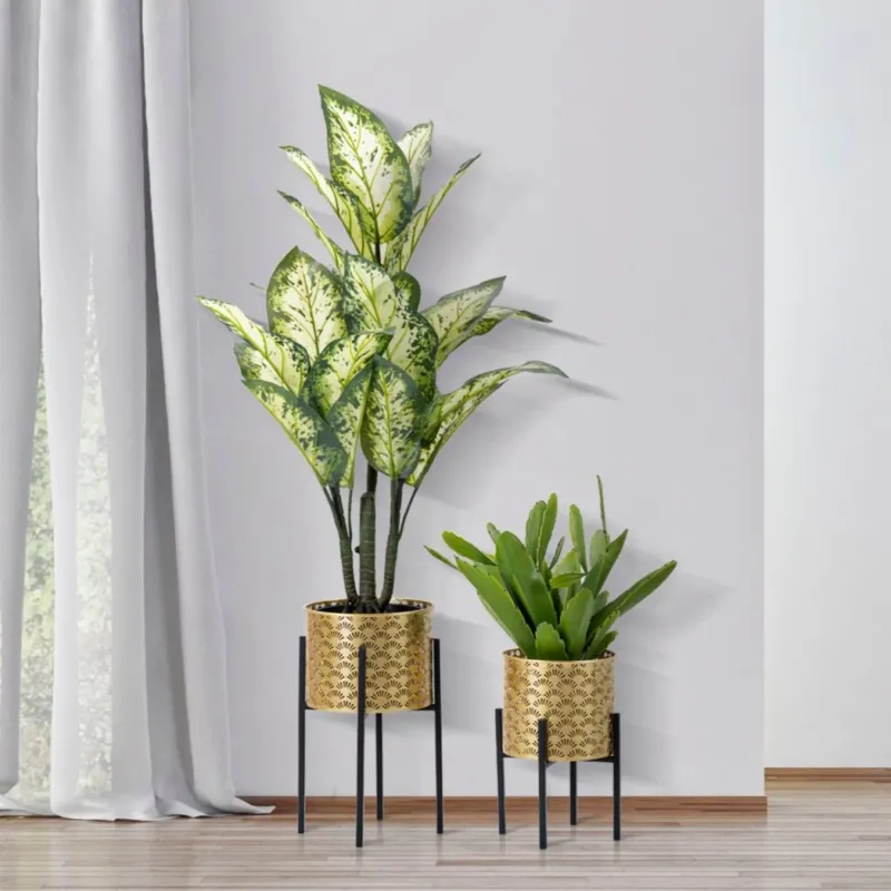P/VASI GLISSY STAND COPPIA -A- FERRETTI Super Prezzo